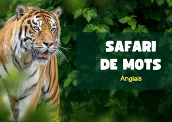 Jeux éducatifs pour enfants, mots anglais