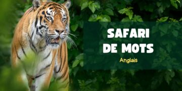 Jeux éducatifs pour enfants, mots anglais