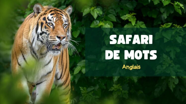 Jeux éducatifs pour enfants, mots anglais